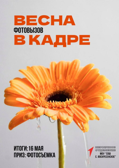 Веснк в кадре.